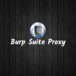 burp suite tutorial