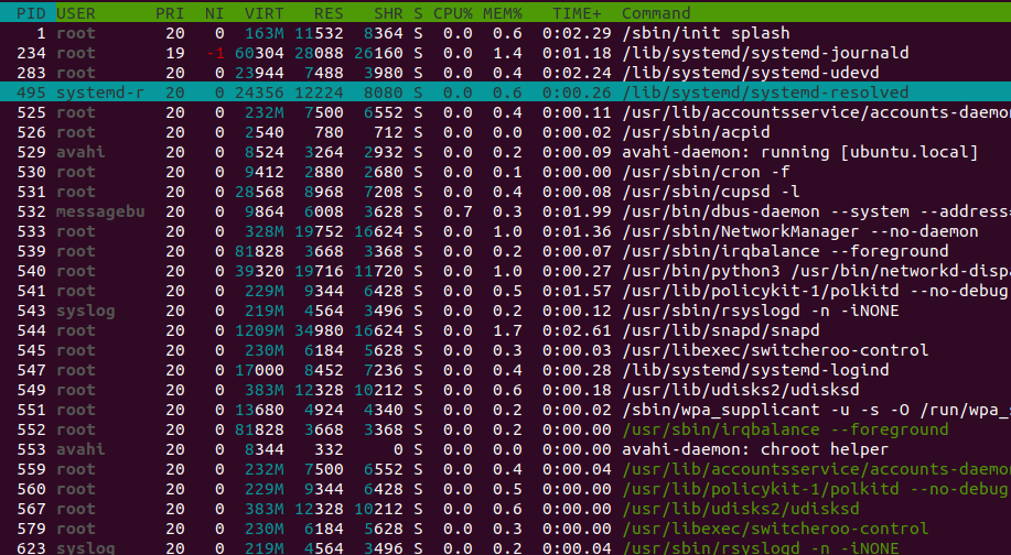 htop command output image