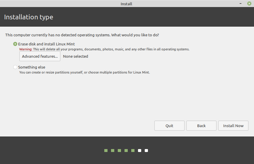 select installation type for linux mint