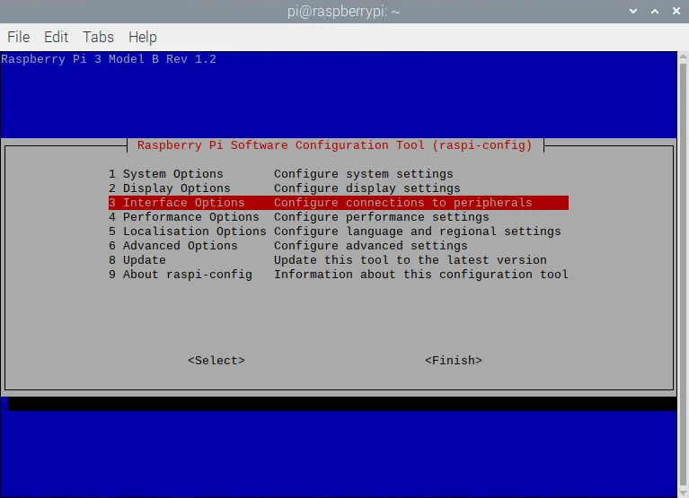 Interface Options Raspi-config