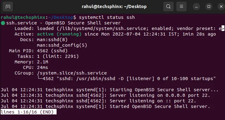 check ssh status 