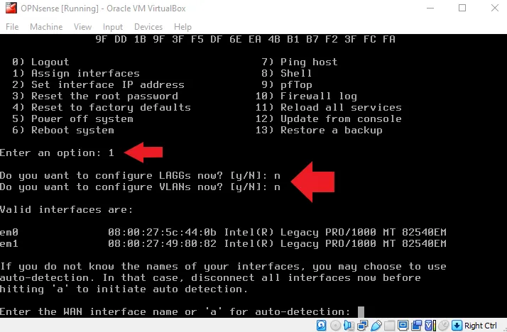 Assign Interfaces OPNsense